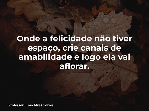 Onde a felicidade não tiver espaço, crie canais de amabilidade e logo ela vai aflorar.... Frase de Professor Elmo Alves Tôrres.