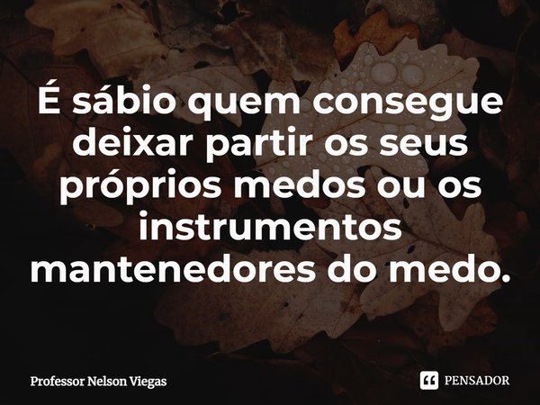 É sábio quem ⁠consegue deixar partir os seus próprios medos ou os instrumentos mantenedores do medo.... Frase de Professor Nelson Viegas.