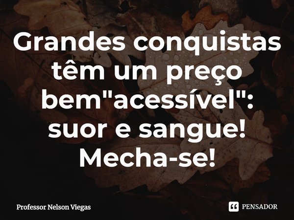 ⁠Grandes conquistas têm um preço bem "acessível": suor e sangue! Mecha-se!... Frase de Professor Nelson Viegas.