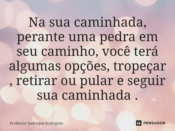 Na sua caminhada, perante uma pedra em seu caminho, você terá algumas opções, tropeçar, retirar ou pular e seguir sua caminhada.... Frase de Professor Sadraque Rodrigues.