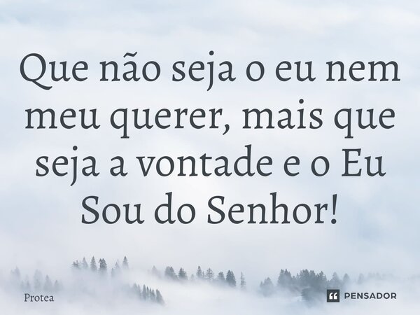 ⁠Que não seja o eu nem meu querer, mais que seja a vontade e o Eu Sou do Senhor!... Frase de Protea.