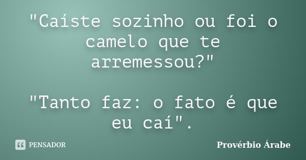 "Caíste sozinho ou foi o camelo que te arremessou?" "Tanto faz: o fato é que eu caí".... Frase de provérbio árabe.