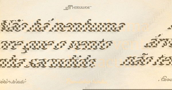 Não há nenhuma árvore que o vento não tenha sacudido.... Frase de Provérbio hindu.