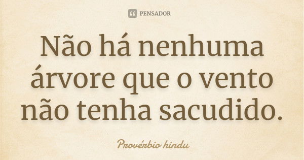 Não há nenhuma árvore que o vento não tenha sacudido.... Frase de Provérbio hindu.