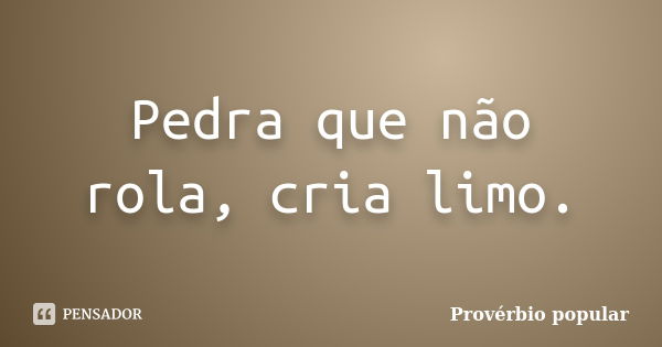 Pedra que não rola, cria limo.... Frase de Provérbio popular.