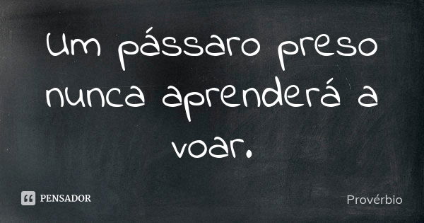 Um pássaro preso nunca aprenderá a voar.... Frase de Provérbio.