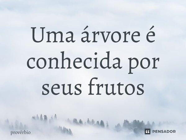 ⁠Uma árvore é conhecida por seus frutos... Frase de Provérbio.