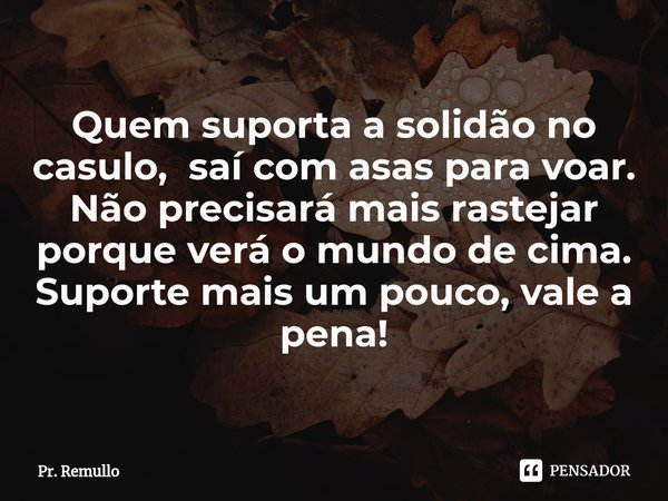 Quem suporta a solidão no casulo, saí com asas para voar. Não precisará mais rastejar porque verá o mundo de cima.
Suporte mais um pouco, vale a pena!... Frase de Pr. Remullo.