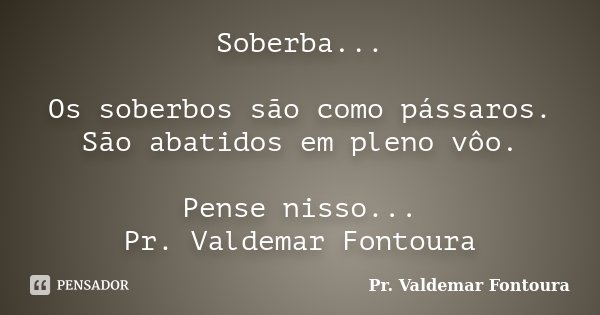 Soberba... Os soberbos são como pássaros. São abatidos em pleno vôo. Pense nisso... Pr. Valdemar Fontoura... Frase de Pr. Valdemar Fontoura.