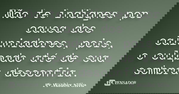 Não te indignes por causa dos caluniadores, pois, o culpado até de sua sombra desconfia.... Frase de Pr Waldex Silva.
