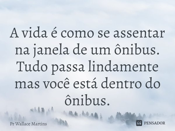 ⁠A vida é como se assentar na janela de um ônibus. Tudo passa lindamente mas você está dentro do ônibus.... Frase de Pr Wallace Martins.