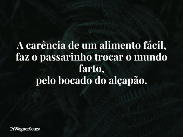 A carência de um alimento fácil, faz o passarinho trocar o mundo farto, pelo bocado do alçapão.... Frase de PrWagnerSouza.