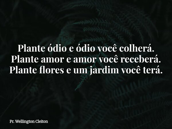 Plante ódio e ódio você colherá. Plante amor e amor você receberá. Plante flores e um jardim você terá.... Frase de Pr. Wellington Cleiton.