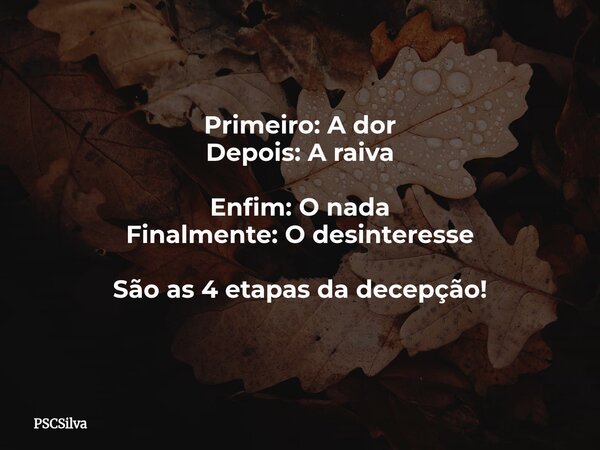 Primeiro: A dor Depois: A raiva Enfim: O nada Finalmente: O desinteresse São as 4 etapas da decepção!... Frase de PSCSilva.
