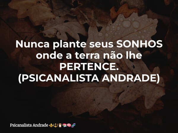 Nunca plante seus SONHOS onde a terra não lhe PERTENCE. (PSICANALISTA ANDRADE)... Frase de Psicanalista Andrade.