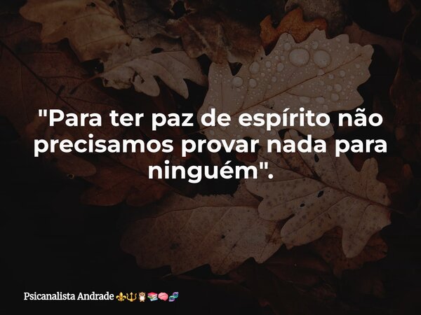 "Para ter paz de espírito não precisamos provar nada para ninguém".... Frase de Psicanalista Andrade.