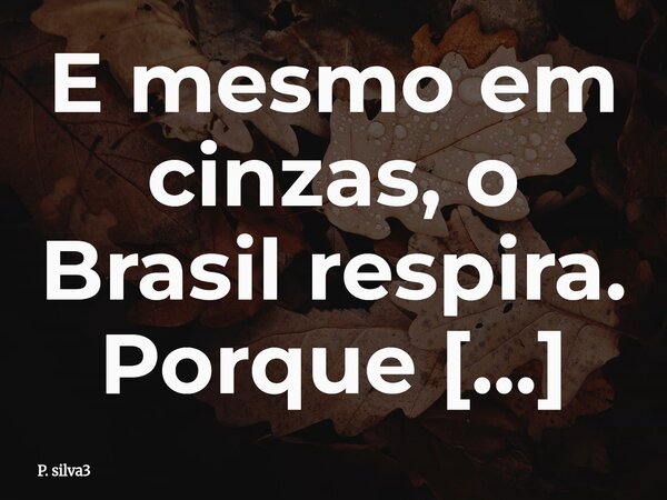 E mesmo em cinzas, o Brasil respira. Porque nenhuma chama vence quem aprende com a dor. Da bandeira que arde nasce um silêncio gritante: ou mudamos a terra, ou ... Frase de P. silva3.