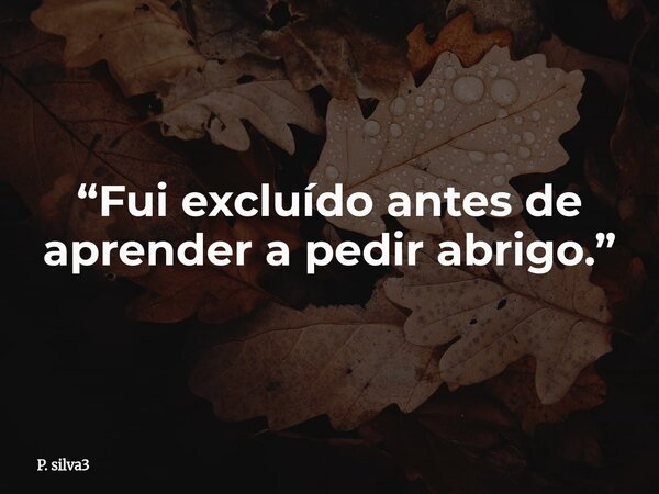 ⁠“Fui excluído antes de aprender a pedir abrigo.”... Frase de P. silva3.