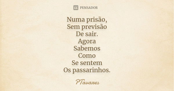 Numa prisão,
Sem previsão
De sair.
Agora
Sabemos
Como
Se sentem
Os passarinhos.... Frase de PTavares.