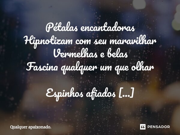 Pétalas encantadoras Hipnotizam com seu maravilhar Vermelhas e belas Fascina qualquer um que olhar Espinhos afiados Agressivos e indelicados Autores da dor Como... Frase de Qualquer apaixonado..