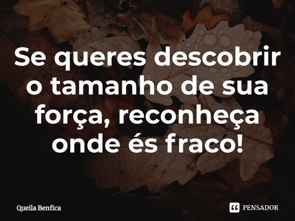 ⁠Se queres descobrir o tamanho de sua força, reconheça onde és fraco!... Frase de Queila Benfica.