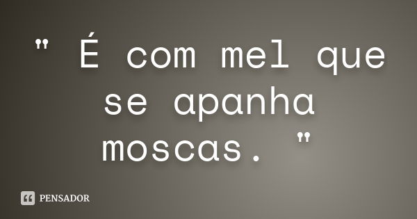 " É com mel que se apanha moscas. "