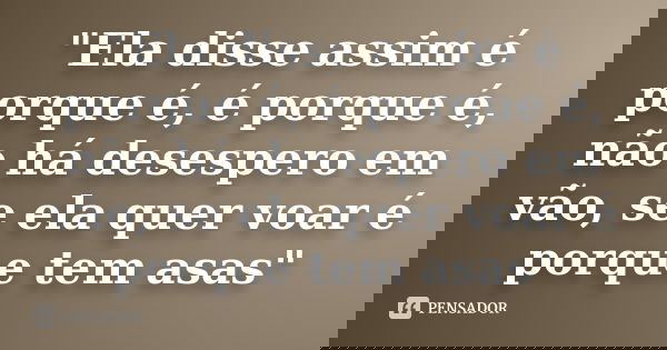 "Ela disse assim é porque é, é porque é, não há desespero em vão, se ela quer voar é porque tem asas"