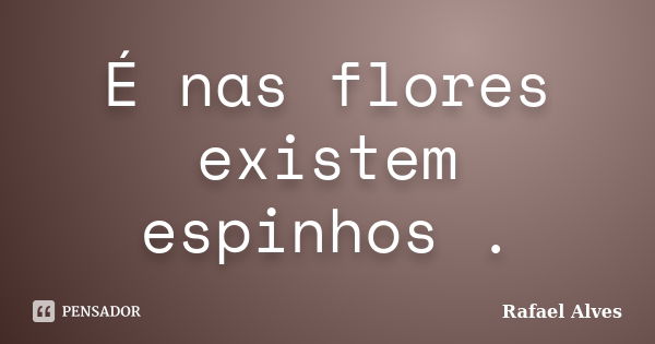 É nas flores existem espinhos .... Frase de Rafael Alves.