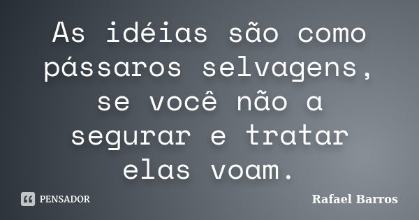 As idéias são como pássaros selvagens, se você não a segurar e tratar elas voam.... Frase de Rafael Barros.