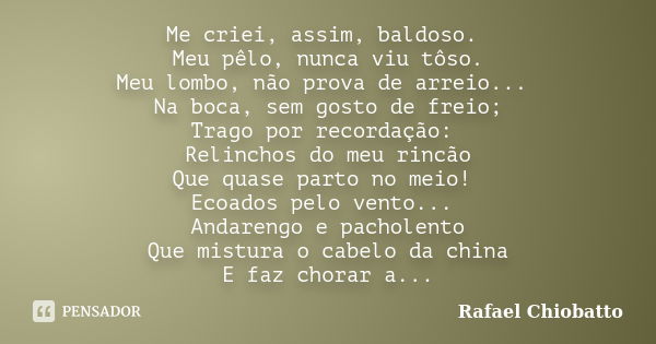 Me criei, assim, baldoso. Meu pêlo, nunca viu tôso. Meu lombo, não prova de arreio... Na boca, sem gosto de freio; Trago por recordação: Relinchos do meu rincão... Frase de Rafael Chiobatto.