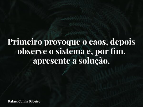 Primeiro provoque o caos, depois observe o sistema e, por fim, apresente a solução.... Frase de Rafael Cunha Ribeiro.