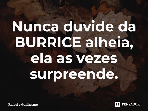 ⁠Nunca duvide da BURRICE alheia, ela as vezes surpreende.... Frase de Rafael e Guilherme.