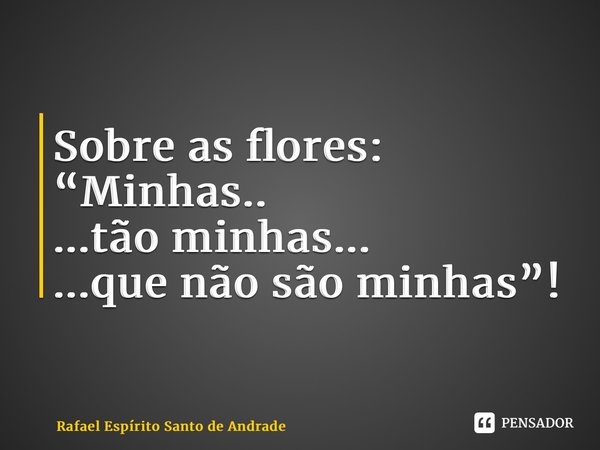 Sobre as flores: “Minhas.. ...tão minhas... ...que não são minhas”! ⁠... Frase de Rafael Espírito Santo de Andrade.
