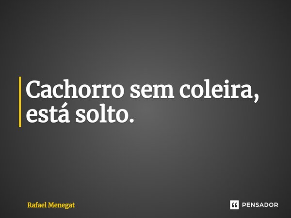 ⁠Cachorro sem coleira, está solto.... Frase de Rafael Menegat.