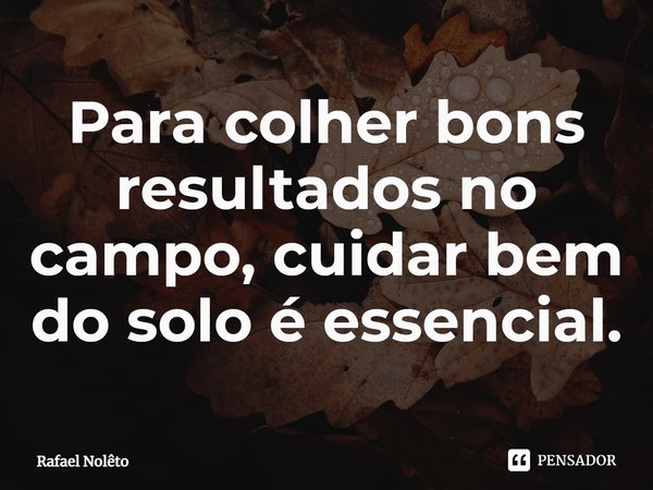 ⁠Para colher bons resultados no campo, cuidar bem do solo é essencial.... Frase de Rafael Nolêto.