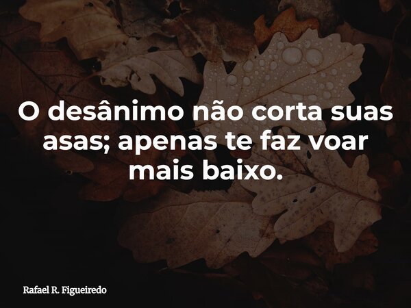 O desânimo não corta suas asas; apenas te faz voar mais baixo.... Frase de Rafael R. Figueiredo.