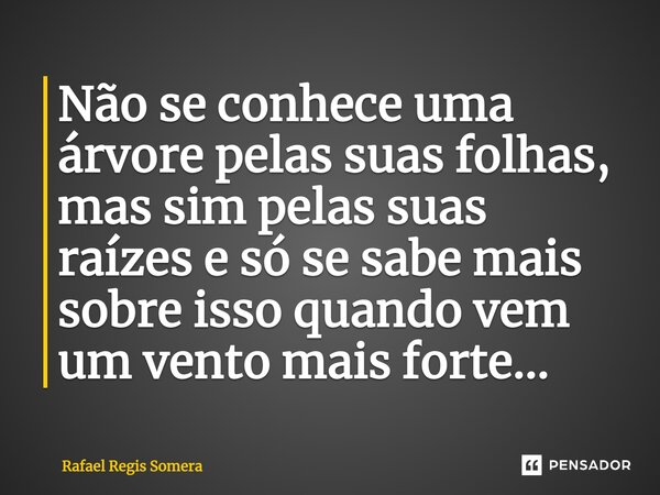 Não se conhece uma árvore pelas suas folhas, mas sim pelas suas raízes e só se sabe mais sobre isso quando vem um vento mais forte...... Frase de Rafael Régis Somera.