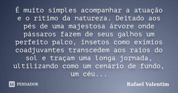 É muito simples acompanhar a atuação e o rítimo da natureza. Deitado aos pés de uma majestosa árvore onde pássaros fazem de seus galhos um perfeito palco, inset... Frase de Rafael Valentim.