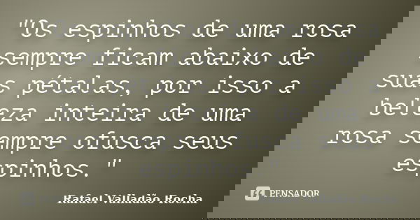 "Os espinhos de uma rosa sempre ficam abaixo de suas pétalas, por isso a beleza inteira de uma rosa sempre ofusca seus espinhos."... Frase de Rafael Valladão Rocha.