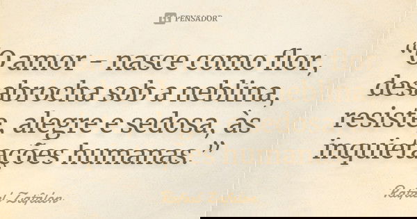 “O amor - nasce como flor, desabrocha sob a neblina, resiste, alegre e sedosa, às inquietações humanas.”... Frase de Rafael Zafalon.