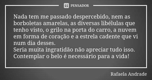 Nada tem me passado despercebido, nem as borboletas amarelas, as diversas libélulas que tenho visto, o grilo na porta do carro, a nuvem em forma de coração e a ... Frase de Rafaela Andrade.