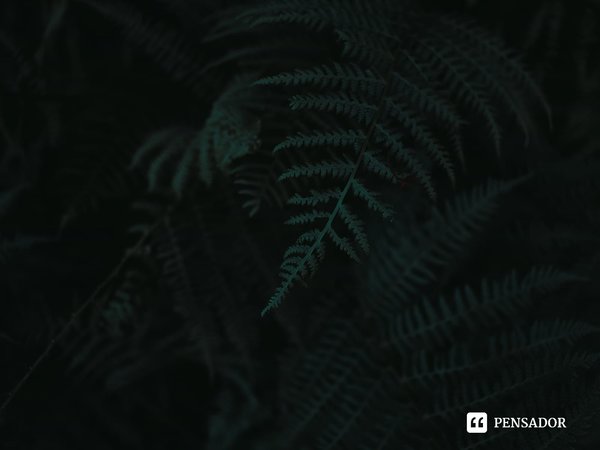⁠Você não pode arrancar uma árvore quando suas raízes já cresceram tão profundamente.... Frase de Ragnar Jónasson.