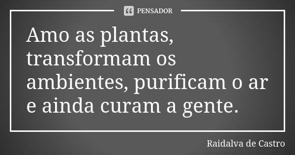 Amo as plantas, transformam os ambientes, purificam o ar e ainda curam a gente.... Frase de Raidalva de Castro.