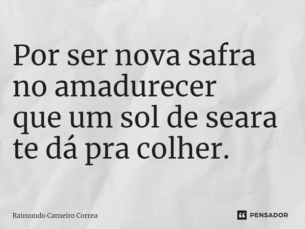 ⁠Por ser nova safra no amadurecer que um sol de seara te dá pra colher.... Frase de Raimundo Carneiro Corrêa.