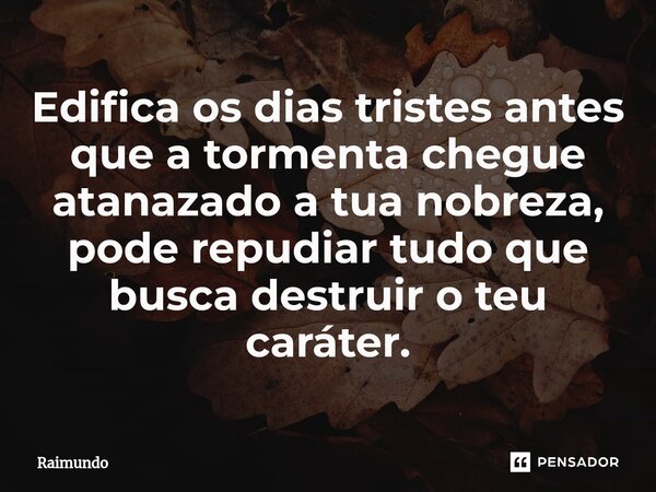 ⁠Edifica os dias tristes antes que a tormenta chegue atanazado a tua nobreza, pode repudiar tudo que busca destruir o teu caráter.... Frase de RAIMUNDO.