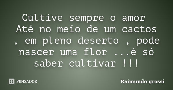 Cultive sempre o amor Até no meio de um cactos , em pleno deserto , pode nascer uma flor ...é só saber cultivar !!!... Frase de Raimundo grossi.