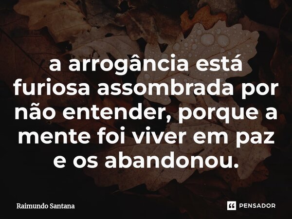 ⁠a arrogância está furiosa assombrada por não entender, porque a mente foi viver em paz e os abandonou.... Frase de Raimundo Santana.