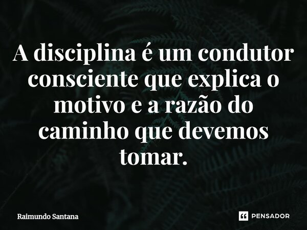 ⁠A disciplina é um condutor consciente que explica o motivo e a razão do caminho que devemos tomar.... Frase de Raimundo Santana.