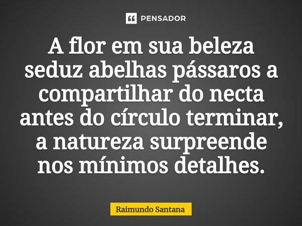 ⁠A flor em sua beleza seduz abelhas pássaros a compartilhar do necta antes do círculo terminar, a natureza surpreende nos mínimos detalhes.... Frase de Raimundo Santana.