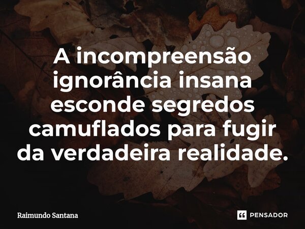 ⁠A incompreensão ignorância insana esconde segredos camuflados para fugir da verdadeira realidade.... Frase de Raimundo Santana.